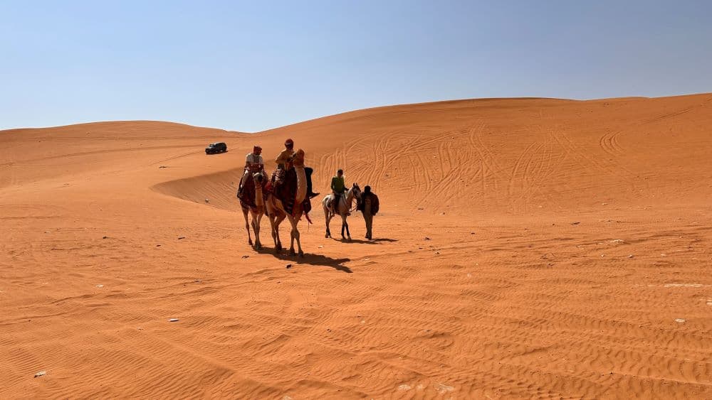 جولة سفاري في الرياض
