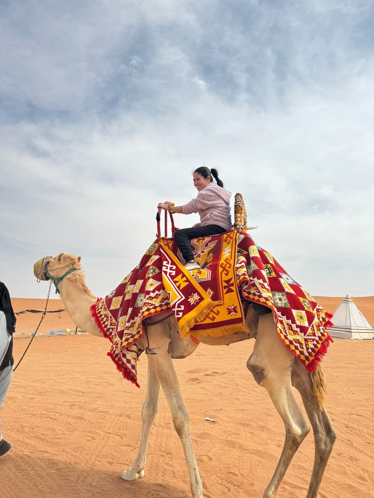 جولة سفاري في الرياض