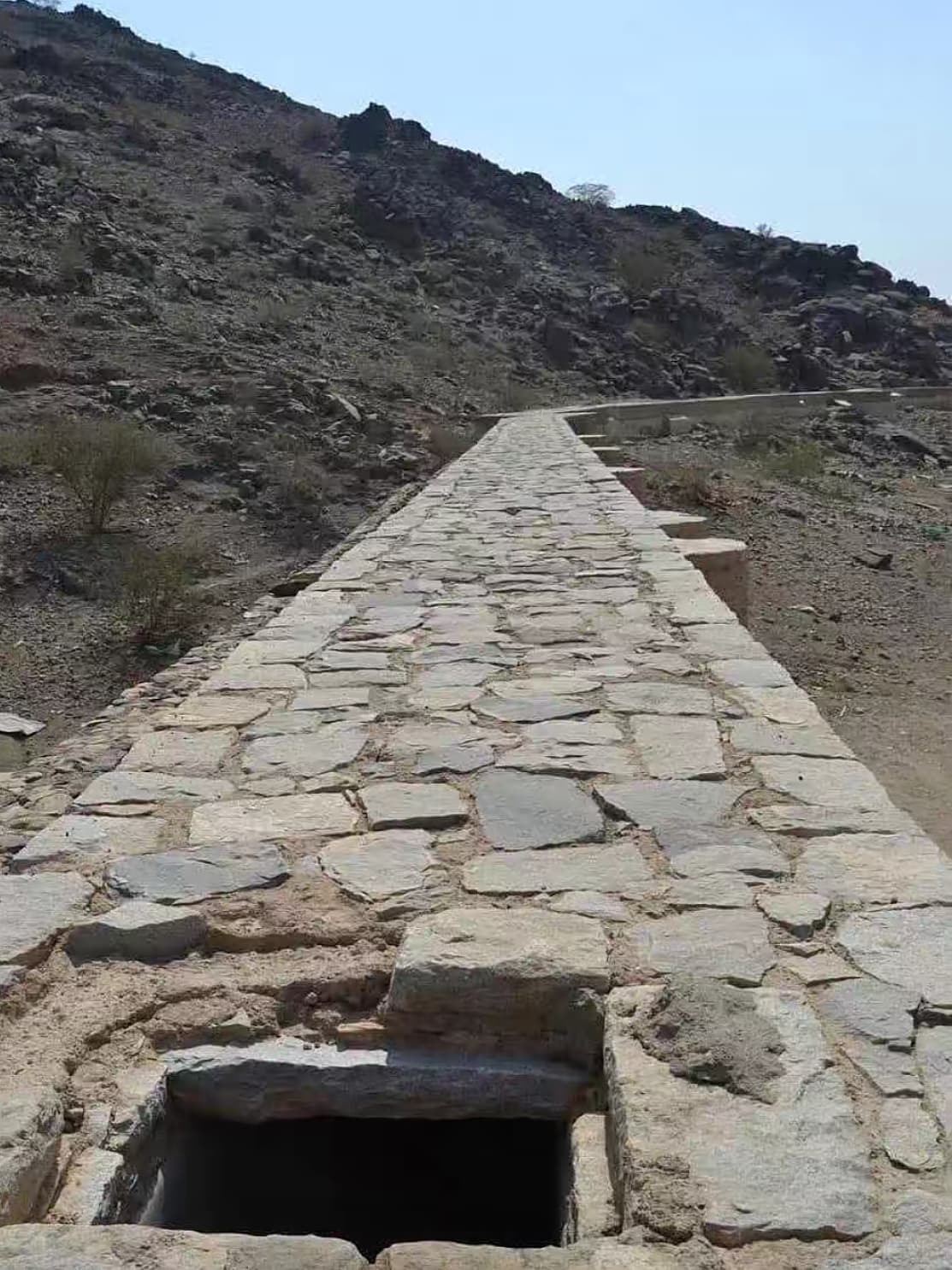 رحلة الصفاء والمشاعر 