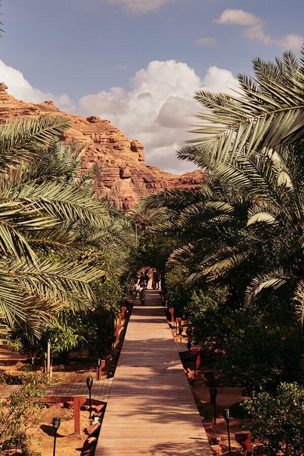 جولة على مسار الواحة التراثي في العلا