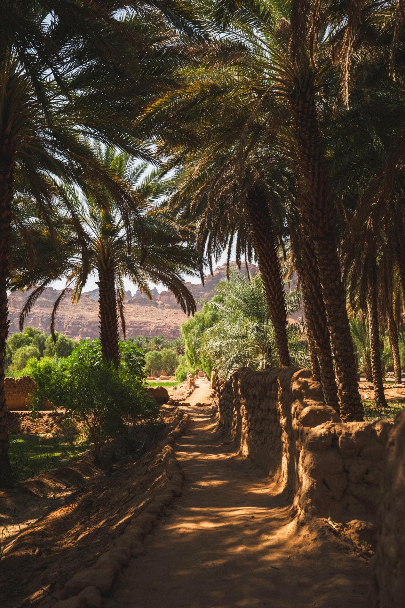 جولة على مسار الواحة التراثي في العلا